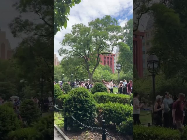 Washington Square Park #newyork #youtubeshorts #shortsvideo #shorts #travel