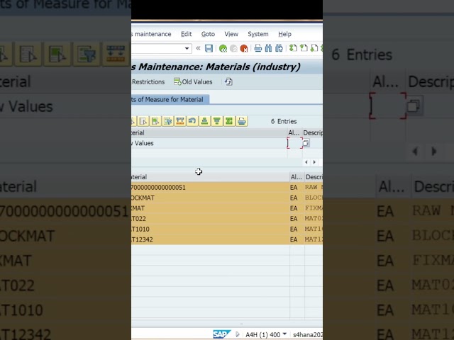 ✅️ Change Master data or Transaction data in MASS transection code