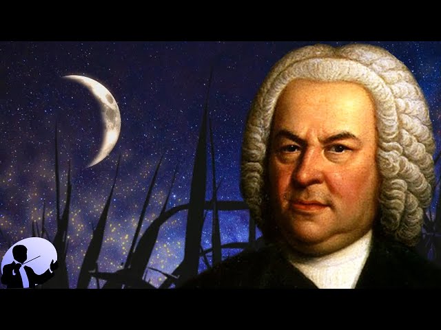 Relaxing Bach Music for Studying and Reading | Focus & Calm Playlist