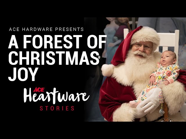 A Forest Of Christmas Joy - Ace Heartware Stories