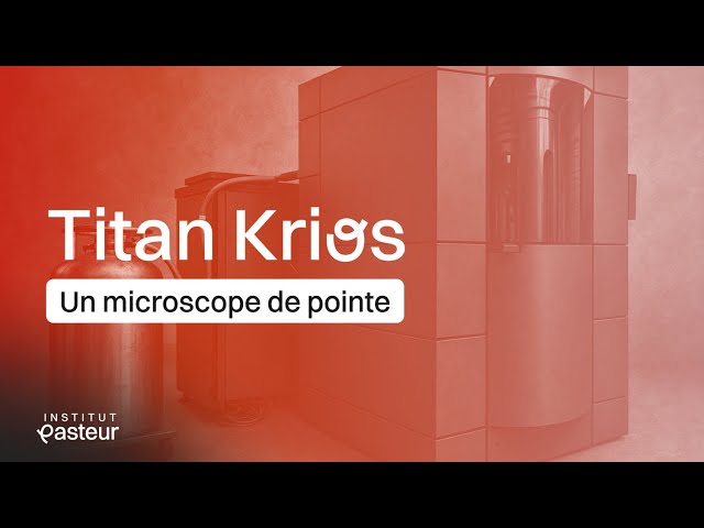 À quoi sert le microscope TITAN KRIOS™ à l'Institut Pasteur ?