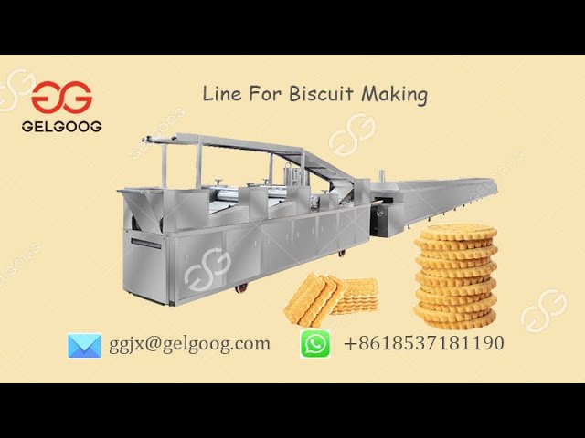 GELGOOG Biscuit Production Line - gelgoog.com