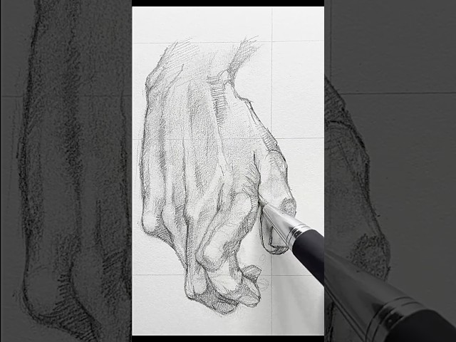 Hand Anatomy Drawing Session