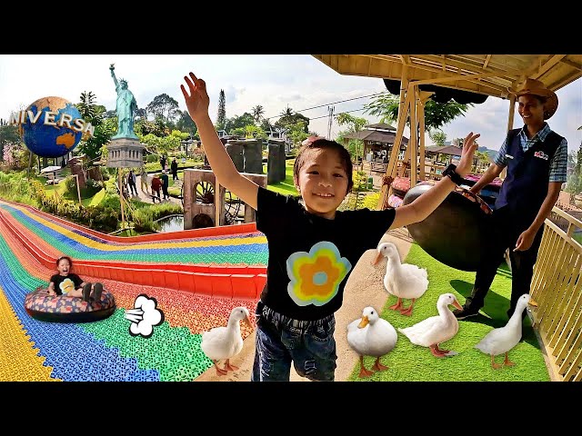 Main Serodotan Donat Warna Warni dan Kasih Makan Bebek dan Merpati
