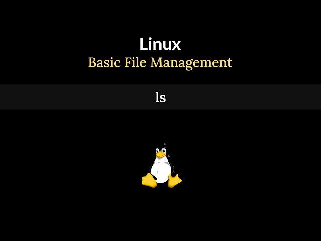 Linux ls Command Explained Simply