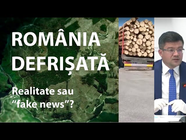 România Defrișată: realitate sau "fake news"?