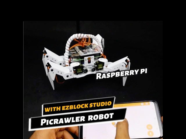 PiCrawler: The Robot That Can See! 👀🤖 #raspberrypi  #robot  #airobot  #robotics