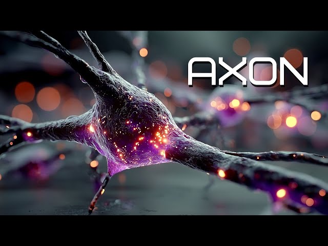 AXON | Signal Pathway Music for Developers & Deep Thinkers | Neural Protocol