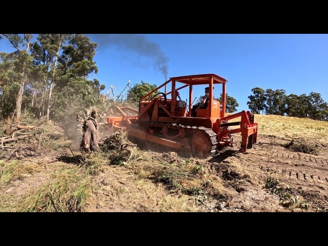 Fence Line Clearing with the Challenger 3