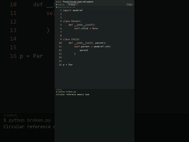 Prevent Memory Leaks with Python Weakref! 🧹 #shorts #python