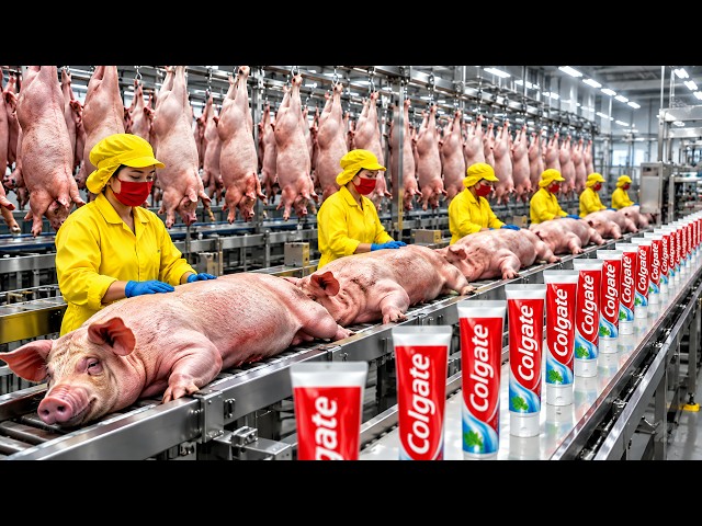 Inside the Bone-Derived Toothpaste Factory | Full Production Process