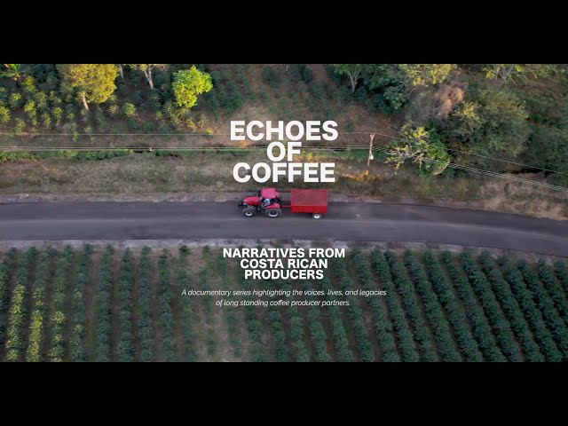 Trailer: Echoes of Coffee