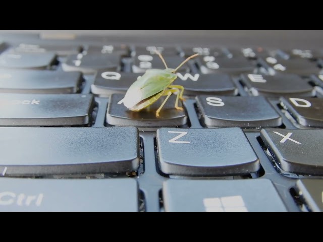 AI Software Testing Tools That Save Hours