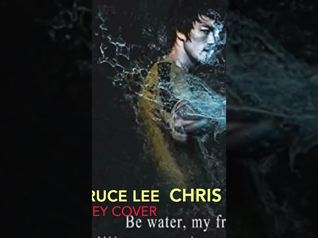 @ChrisBrownTV  #chrisbrownbruceleec #cover