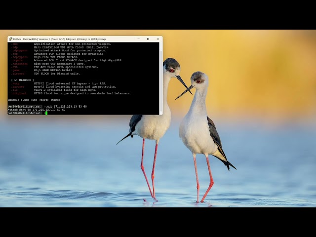 Kelihos Network - show case [BOTNET/Api] |DDOS| Dstat