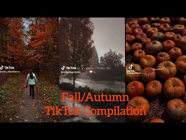 Fall/Autumn TikTok Compilation
