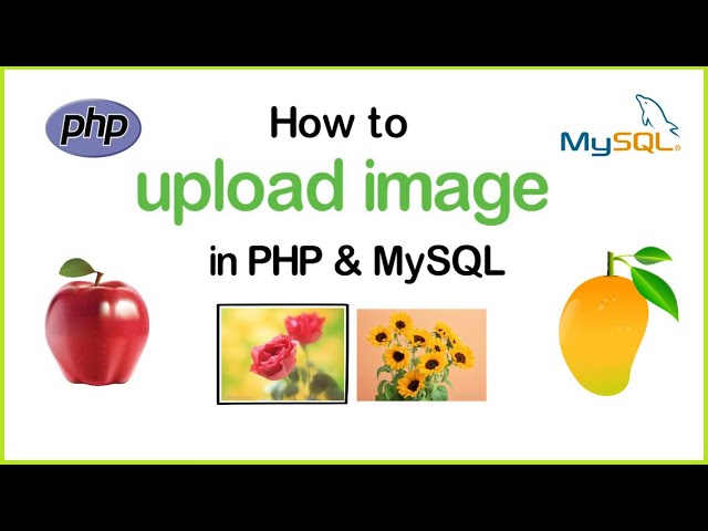 How to upload image in PHP and MySQL | Upload file in PHP | Upload images in PHP