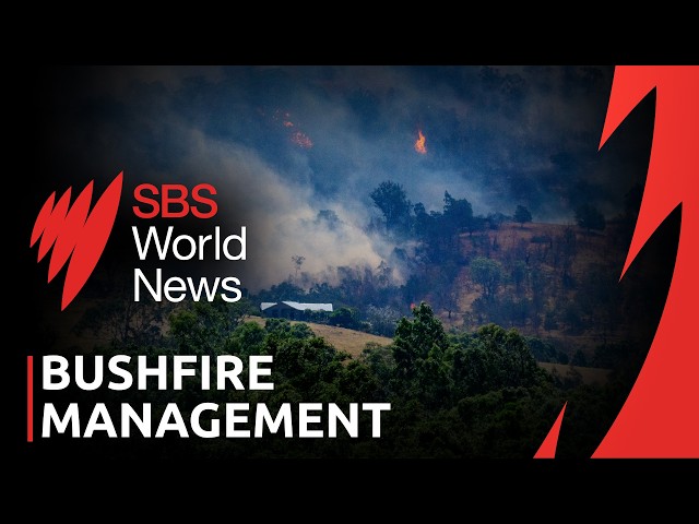 Experts link colonisation to Australia's worsening bushfire risk