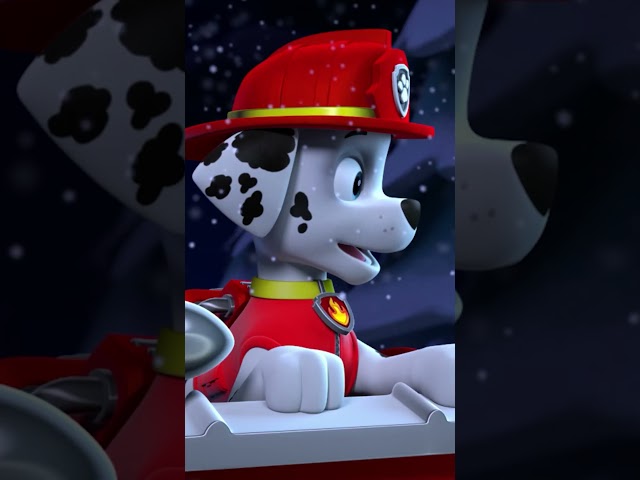 Santa needs the PAW Patrols help! #pawpatrolshorts #santa