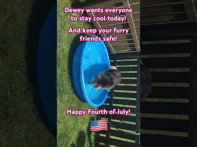 July 4, 2026