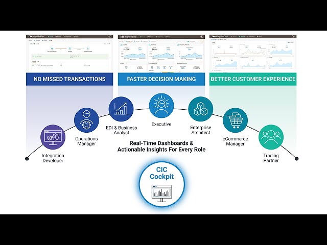 Cleo Integration Cloud - Persona-based Insight