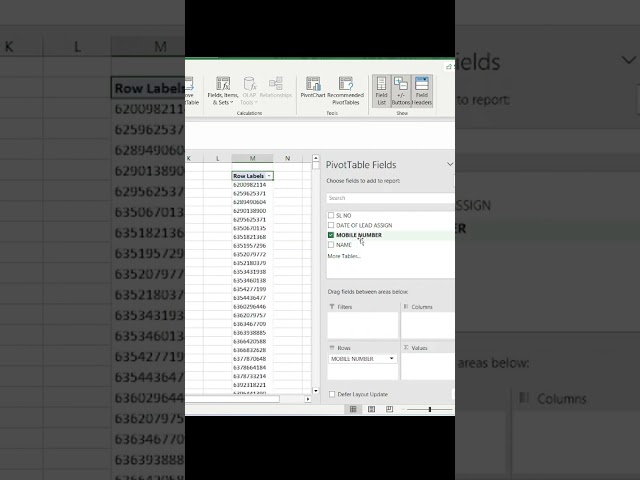 Find Duplicate Data with Pivot Table