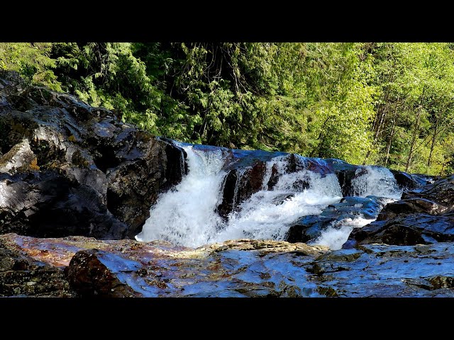 📷 Roaring Water in the Pines | Weeks Falls Full Hike