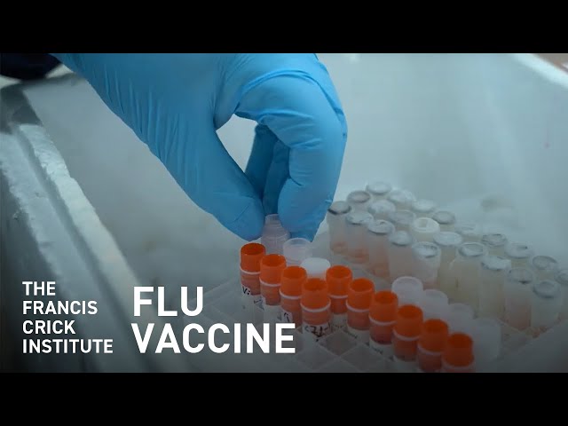 Making a Vaccine for a Virus That Never Stops Changing