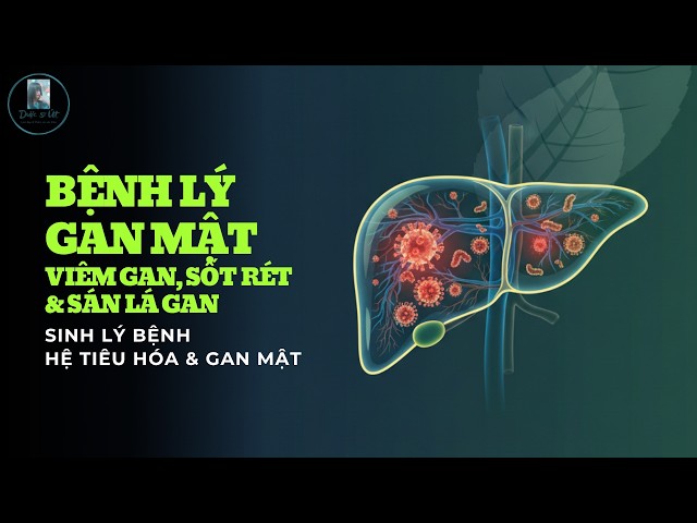 Sinh lý bệnh_Hệ Tiêu hóa & Gan mật Phần 13: Bệnh Lý Gan Mật | Viêm Gan, Sốt Rét và Sán Lá Gan