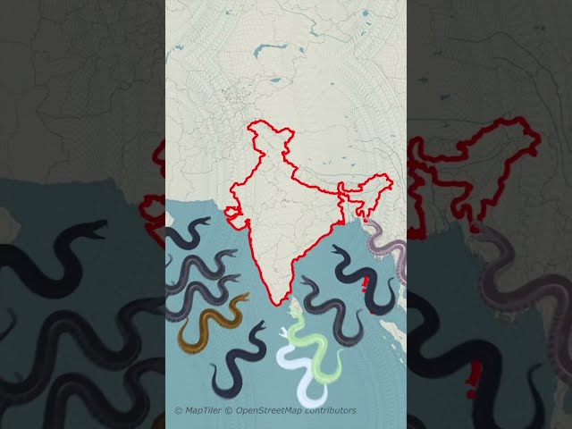 Vertical Map Using Geolayers 3.0  #aftereffects #map #mapanimation