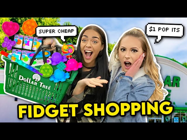 Fidget Shopping at the DOLLAR TREE with PurpleStars02! *we hit the jackpot!* 💰