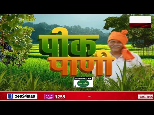 Peek Pani | पावसाच्या खंडामुळे खरीप हंगाम धोक्यात | Zee24Taas
