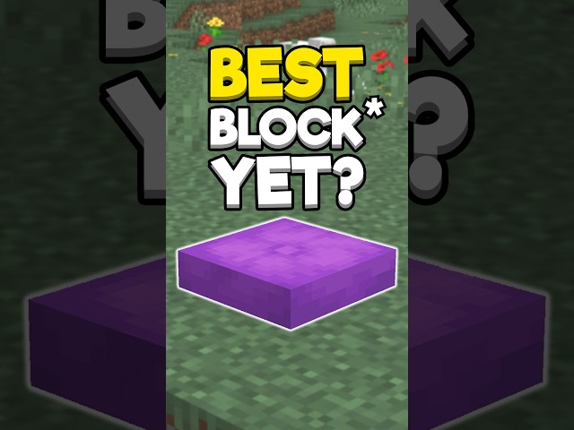 Minecraft's Most Versatile Block* Yet