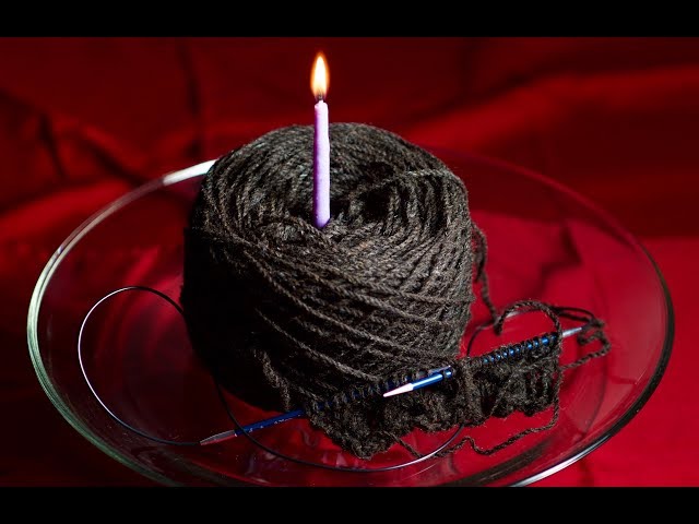 Birthday Yarn, Third Cousins, and Dog Park Friends // Casual Friday #12