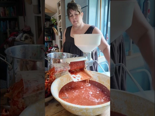 The Silkiest & Velvetiest Tomato Soup! (The Great Freezer Clean-out, Ep. 4)