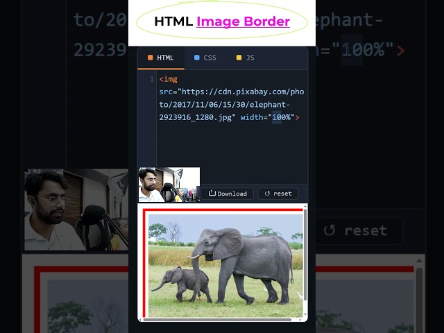 HTML Image Border with Background Dark #coding #htmltutorial #csstutorial