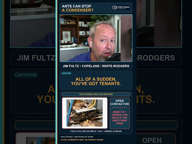 Ten Ants Can Stop a Condenser | Jim Fultz #Shorts