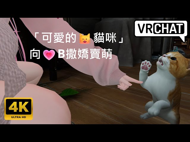 [二次元]「可愛的🐱貓咪」向💗B撒嬌賣萌 Lime ライム【4K】VRChat Paradisa