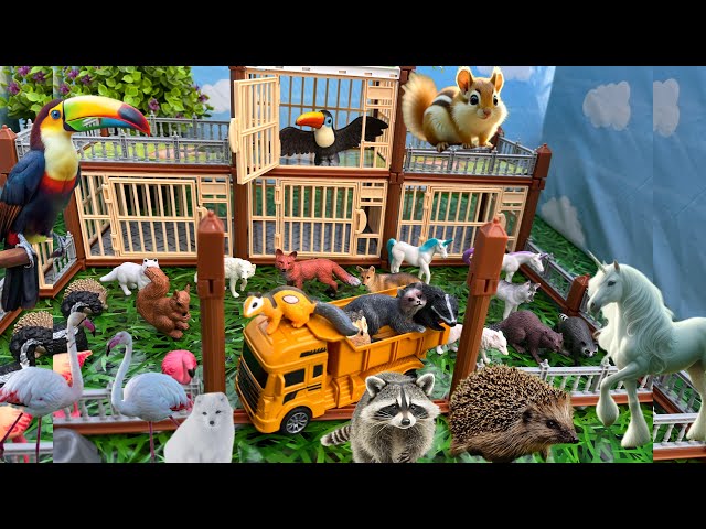 Animals in the Amazing Zoo | New Trucks Arrivals | Toy Animals | Unicorn, Chipmunk, and Hedgehogs