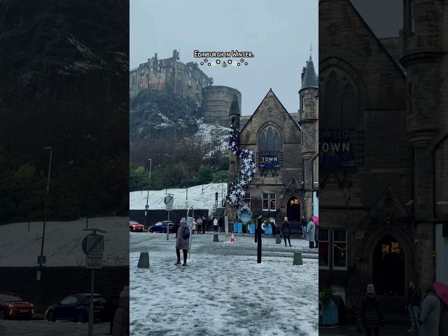 Carol of the Bells 🎄 Winter Magic in Edinburgh | Christmas City Walk. #shorts #scotland #christmas