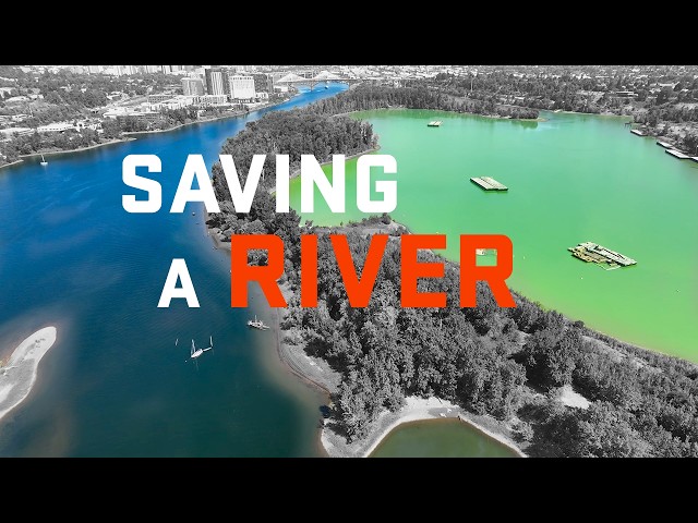 How We Are Saving a River | Restoring Ross Island