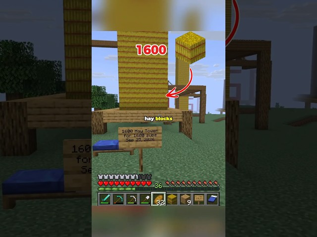 Hay tower with 1600 hay blocks for 1600 subscribers #minecraft