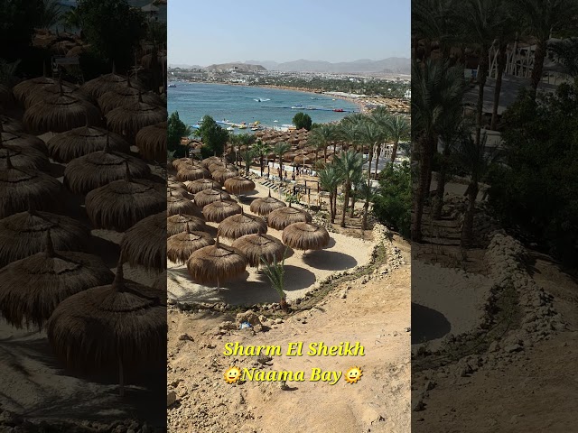 Naama Bay, Sharm El Sheikh - Egypt 🇪🇬 🌴 🌞