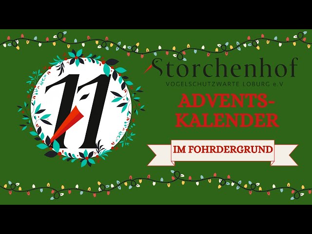 Türchen #11 Fohrder Freude