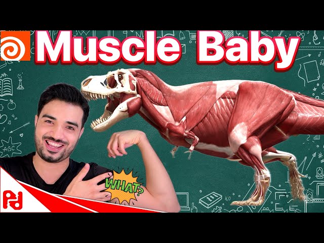 Next level Animation with muscle Houdini 20
