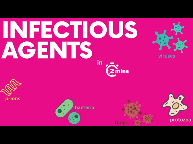Infectious diseases in 2 minutes!