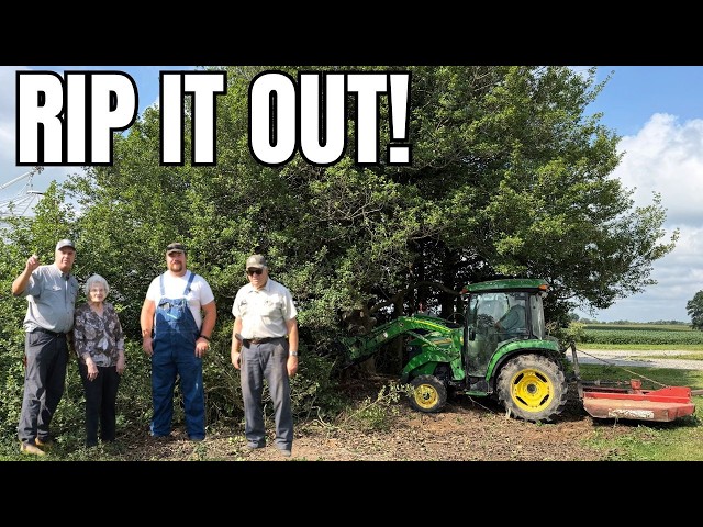 The ONLY Holly Trees in the Midwest!  4 Generations Work Together!
