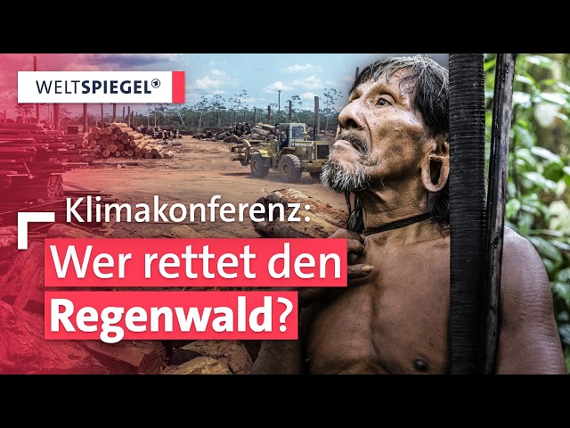 COP30: Kampf gegen Klimawandel und Umweltzerstörung | Weltspiegel