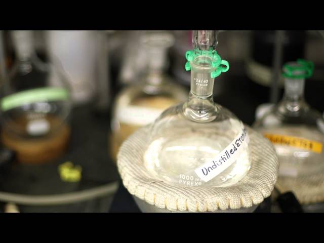 XX Files : The smell test : The T-shirt test [CLIP]