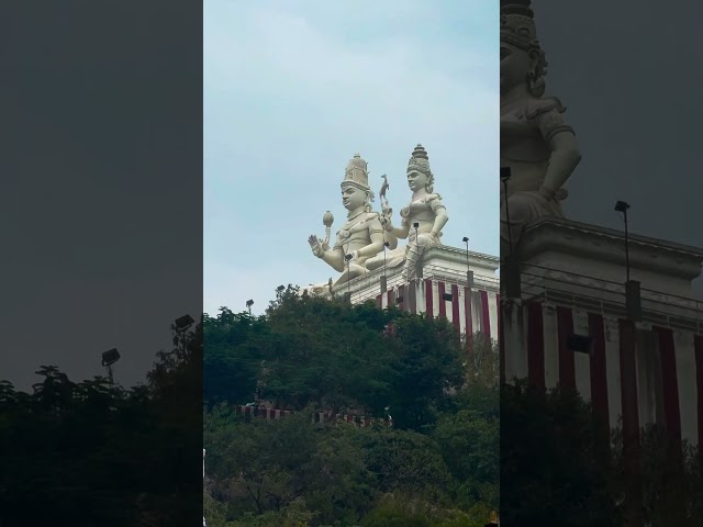 Sri Kalahasthi | Vayu Lingam | PanchaBhootha Lingam | Rahu-Ketu Pooja